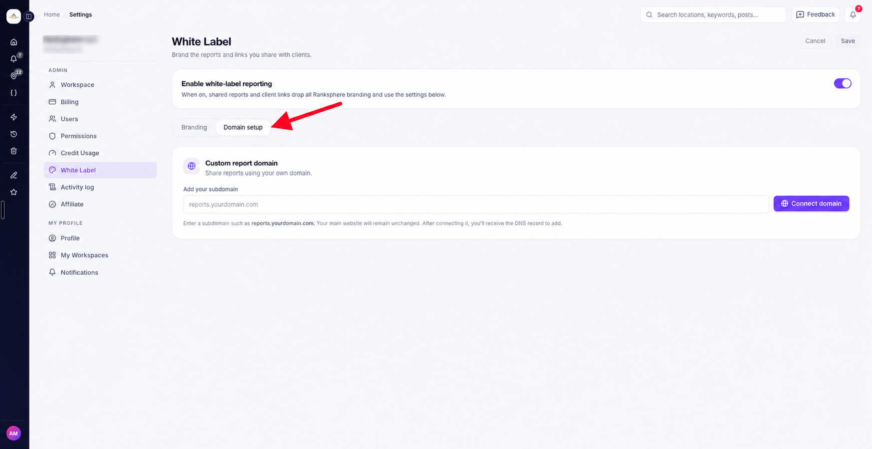 Domain setup white label custom domain reporting ranksphere.io