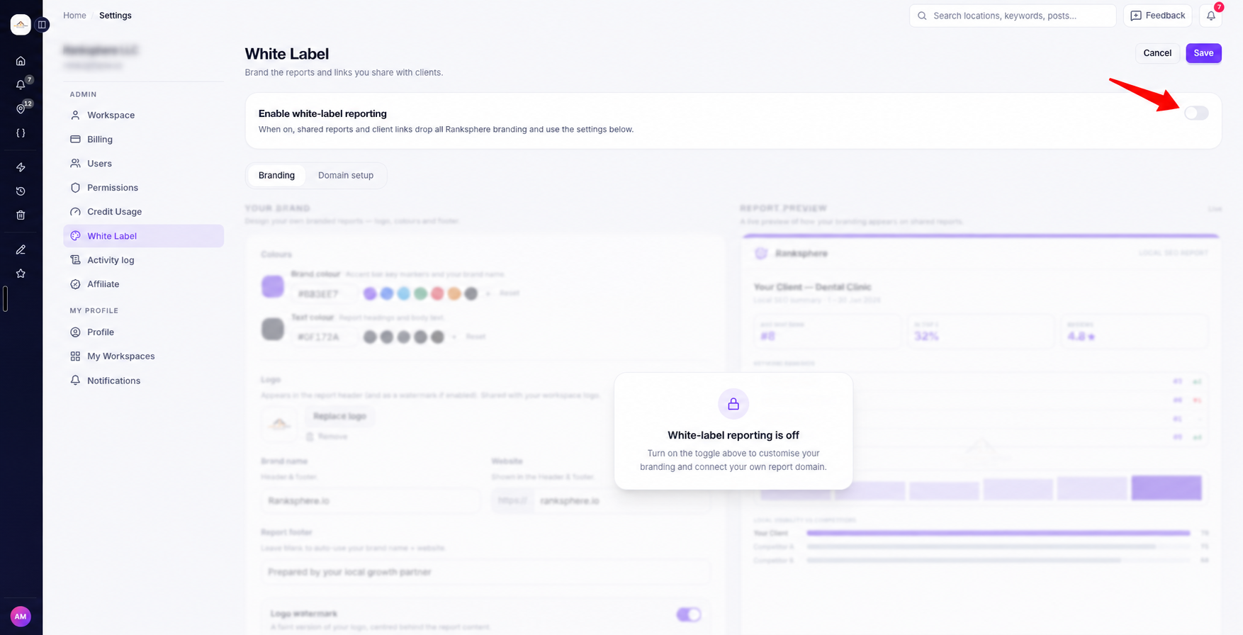 white label reporting custom domain ranksphere.io