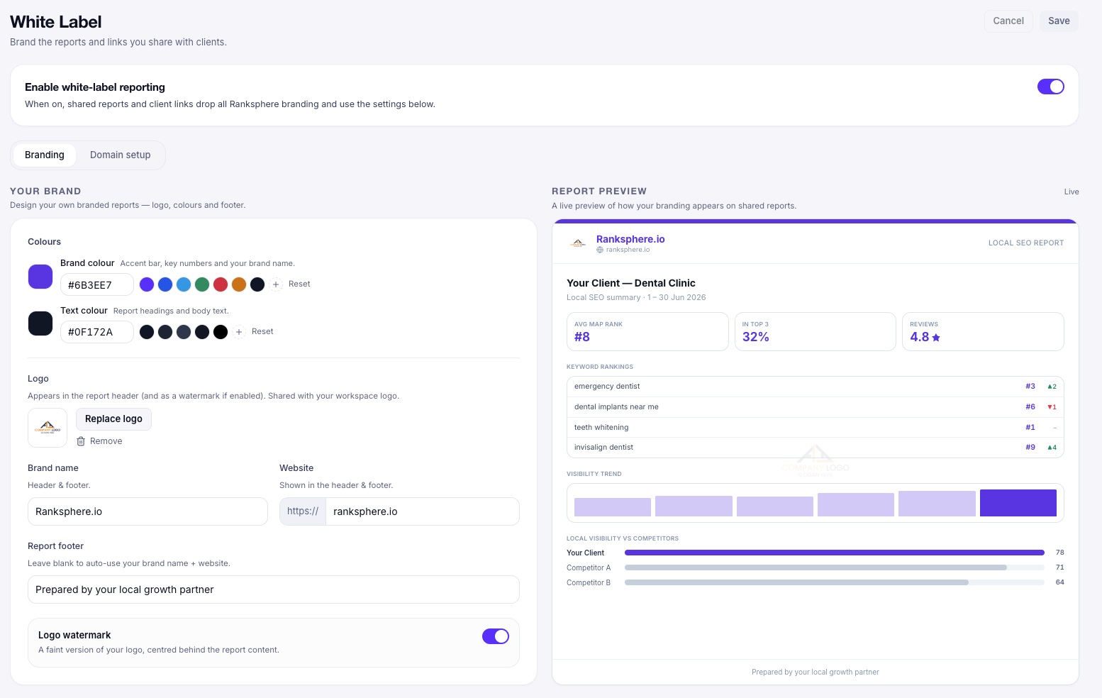 White label reporting with custom domain setup by ranksphere.io